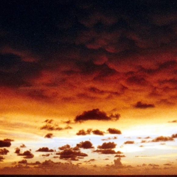 Meet your Posher, Nina - Picture 1 of 1